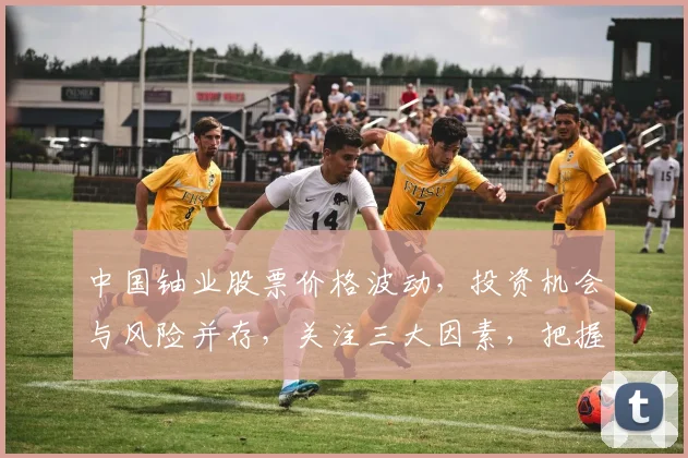 中国铀业股票价格波动，投资机会与风险并存，关注三大因素，把握投资时机，稳健获利