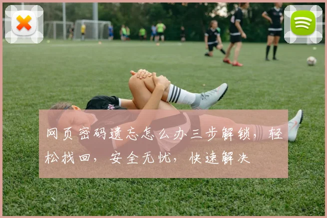 网页密码遗忘怎么办三步解锁，轻松找回，安全无忧，快速解决