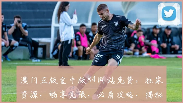 澳门正版金牛版84网站免费，独家资源，畅享无限，必看攻略，揭秘入口
