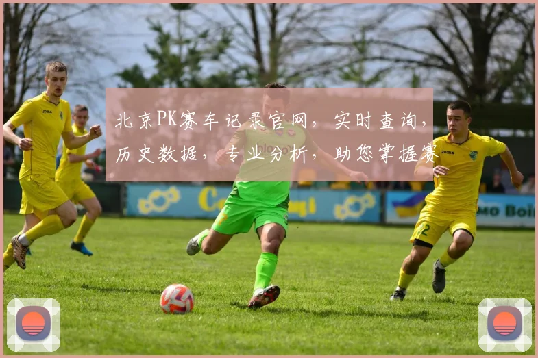 北京PK赛车记录官网，实时查询，历史数据，专业分析，助您掌握赛车趋势，稳中求胜