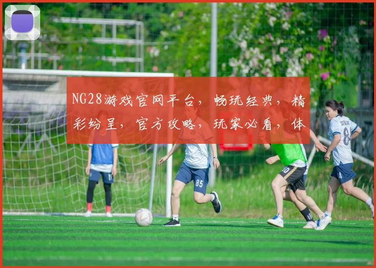 NG28游戏官网平台，畅玩经典，精彩纷呈，官方攻略，玩家必看，体验升级