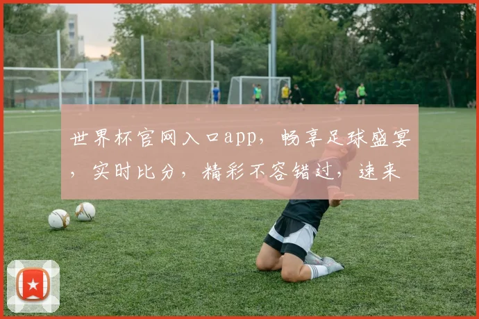 世界杯官网入口app，畅享足球盛宴，实时比分，精彩不容错过，速来下载体验
